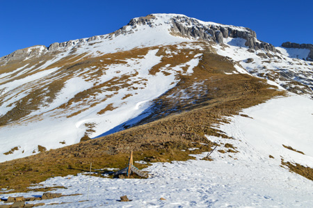 Camí Moixeró