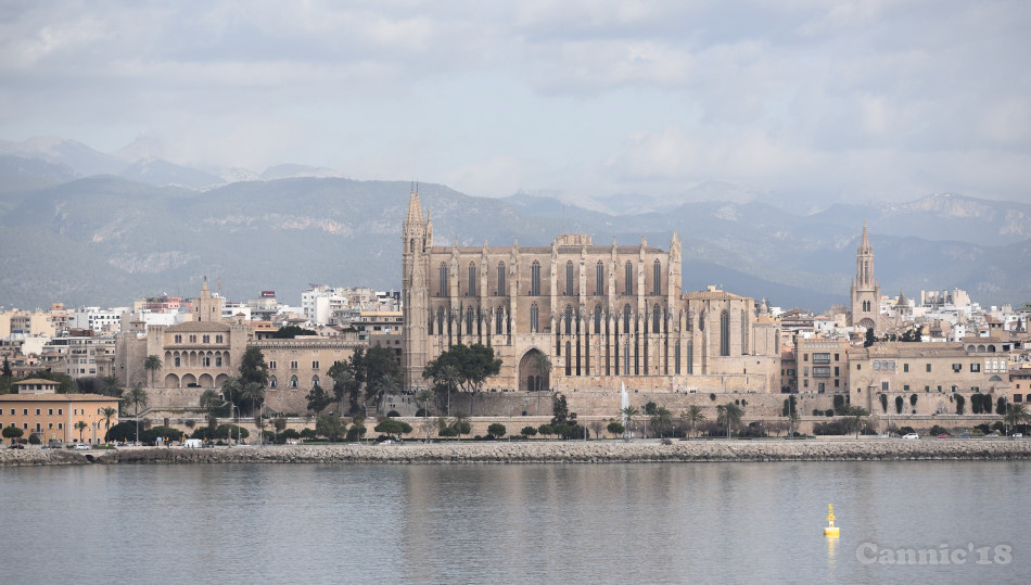 Palma18_08.jpg