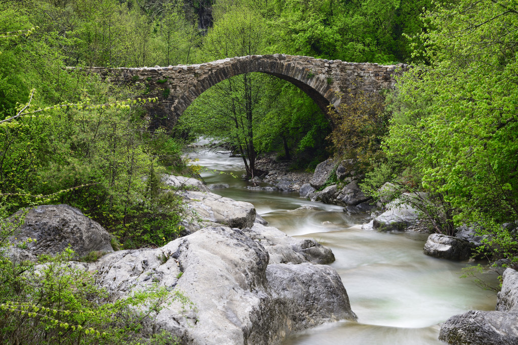 Beget2021_08.jpg